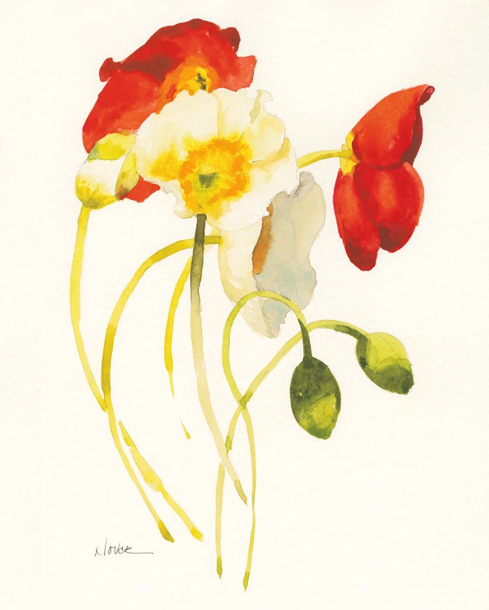 셜리 노박 - Red and White Icelands I