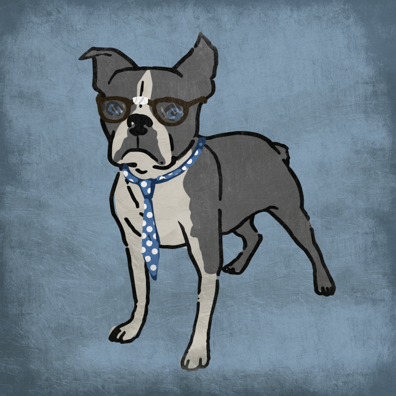 마르코 프라임 - Nerdy Terrier