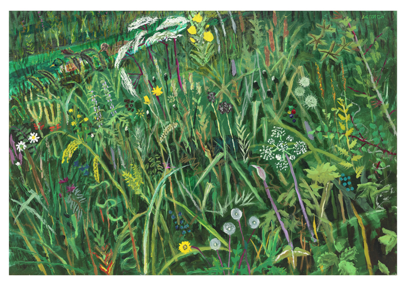 김종학 - Wild Grass