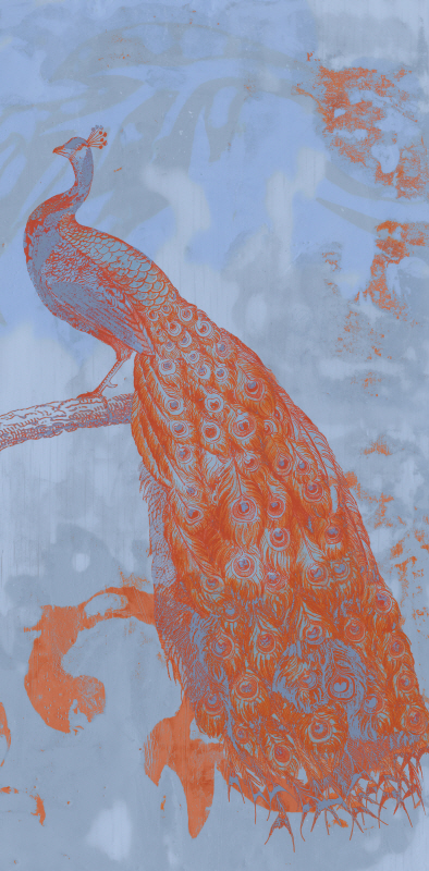 제니퍼 골드버거 - Pop Peacock II