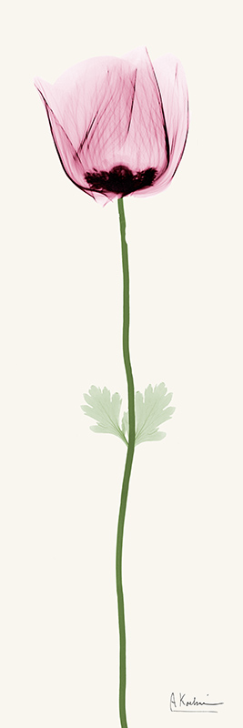 알버트 쿠치어 - Standing Tall III