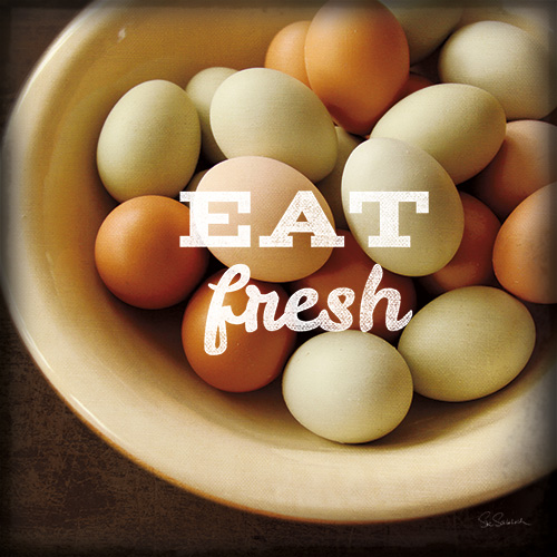 수 슐라바흐 - Market Fresh Eggs