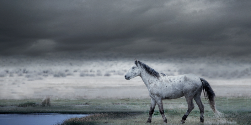 셰인 러섹 - Once Upon A Time In The West No. 2