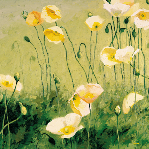 셜리 노박 - In the Miday Sun