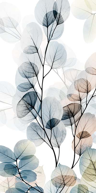 알버트 쿠치어 - Skyward Reach Ⅰ