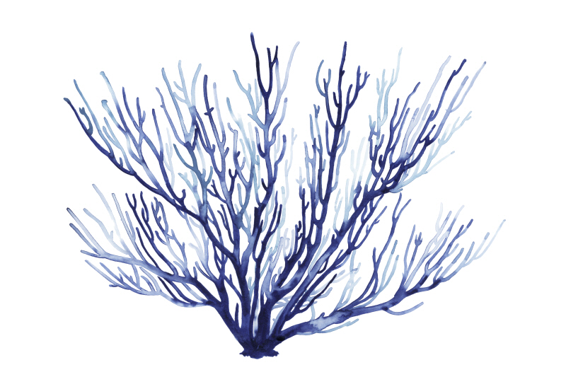 그레이스 포프 - Azure Fan II