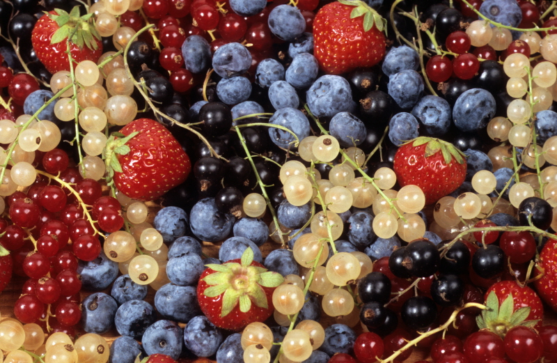 헤이디 브레머 - Berries