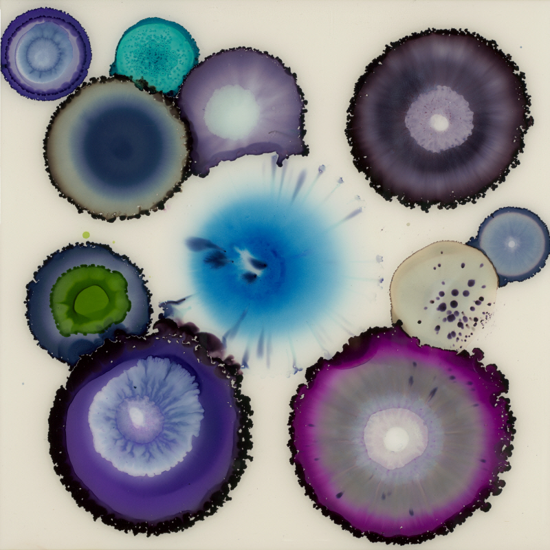 로라 반호른 - Kaleidoscope I