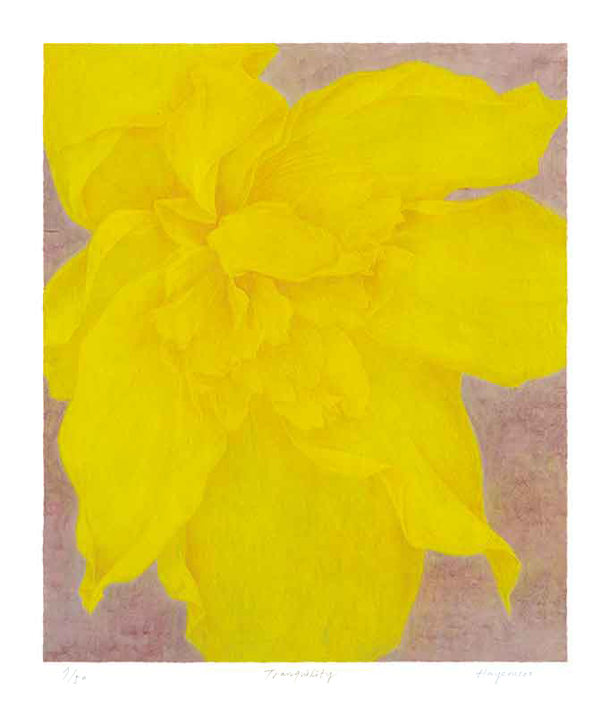 하연수 - Tranquility