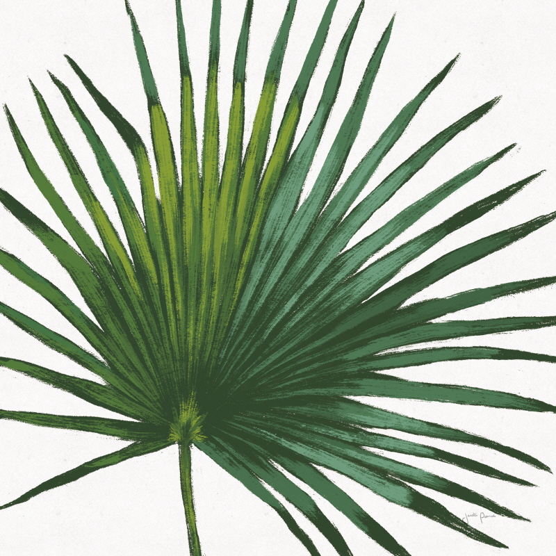 자넬 페너 - Welcome to Paradise XVI on White