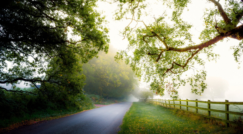 아델리노 곤살베스 - October’s Fog