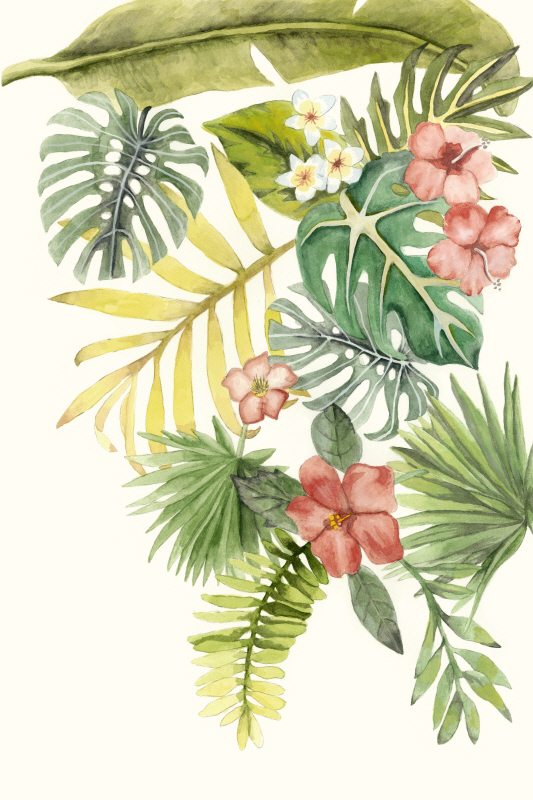 나오미 맥카비트 - Soft Tropics I