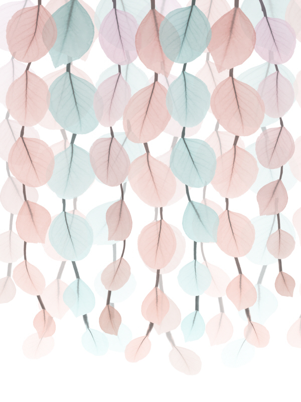 알버트 쿠치어 - Lantern Cascade II