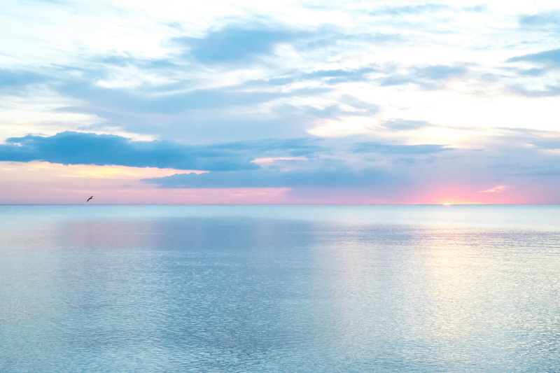 베른 바로나 - Hurricane Calm