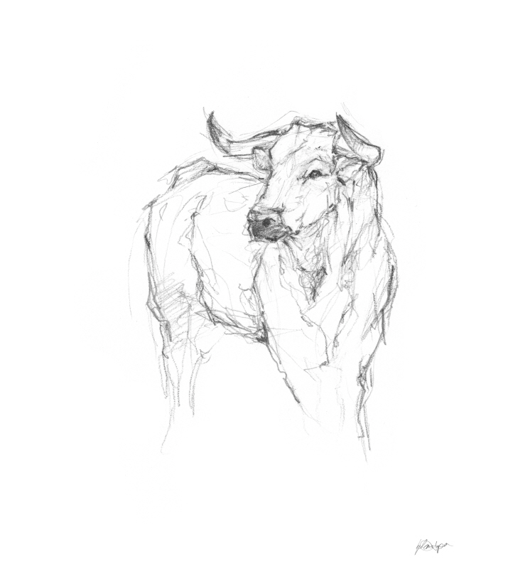 이단 하퍼 - Bull Study I