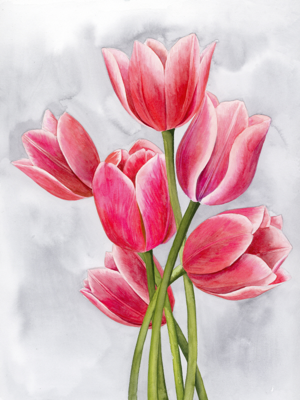 그레이스 포프 - Tulip Tangle I