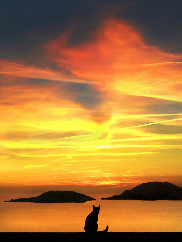 존 베르텔릭 - Contemplation