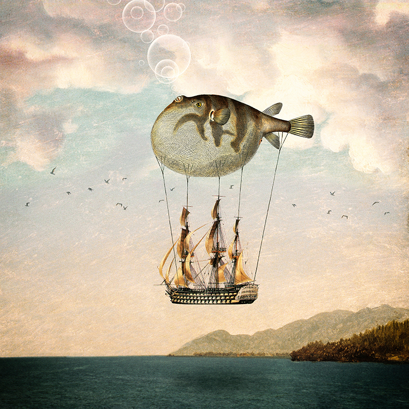 파울라 벨 플로어 - The Big Journey