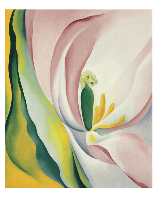 조지아 오키프 - Pink Tulip, 1926