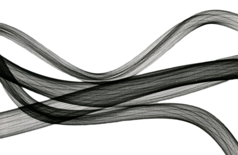 알버트 쿠치어 - Tentacle Life