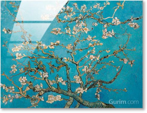 빈센트 반 고흐 - Almond Branches In Bloom, San Remy