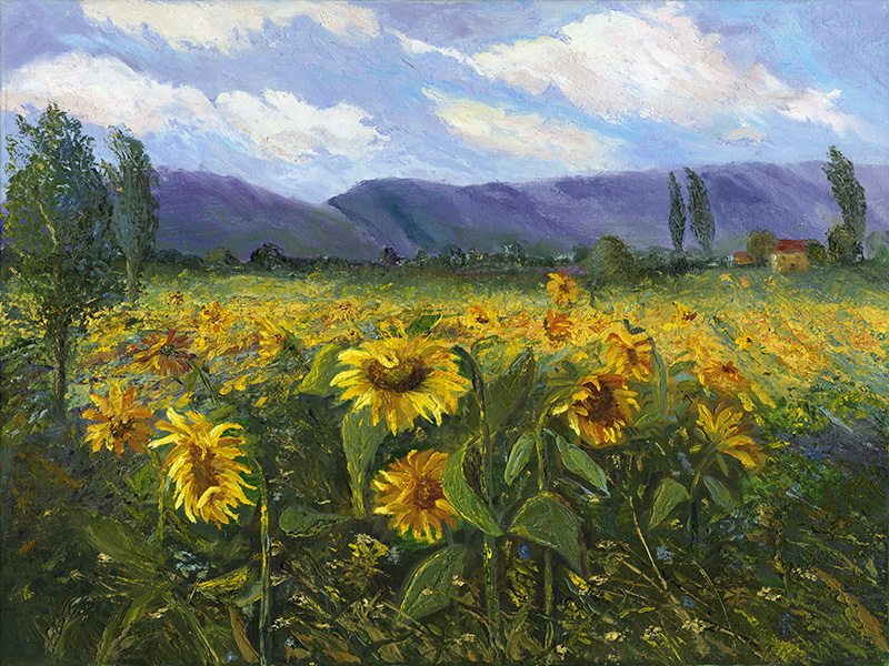 나네트 올슨 - Sierra Awakenings III