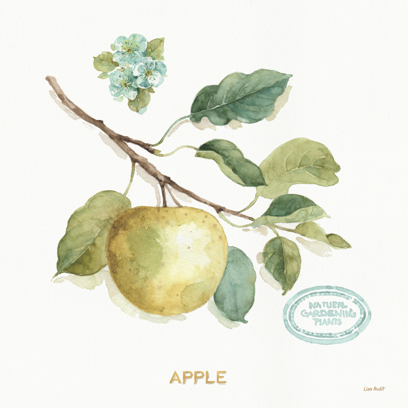 리사 오딧 - My Greenhouse Fruit IV