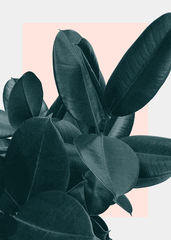 한나 카스틀 룽버그 - Tonight