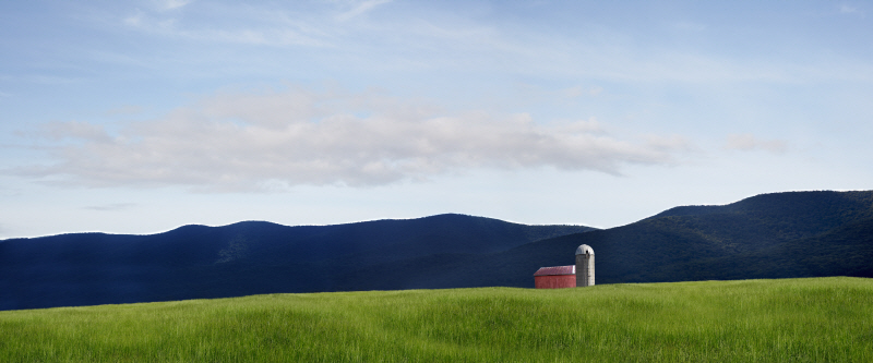 제임스 맥로핀 - Farm & Country VIII