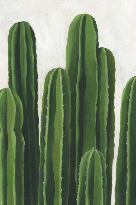 그레이스 포프 - Pura Vida III