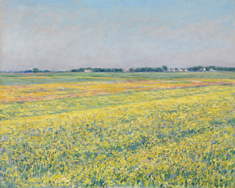 구스타브 카유보트 - The Plain of Gennevilliers, Yellow Fields