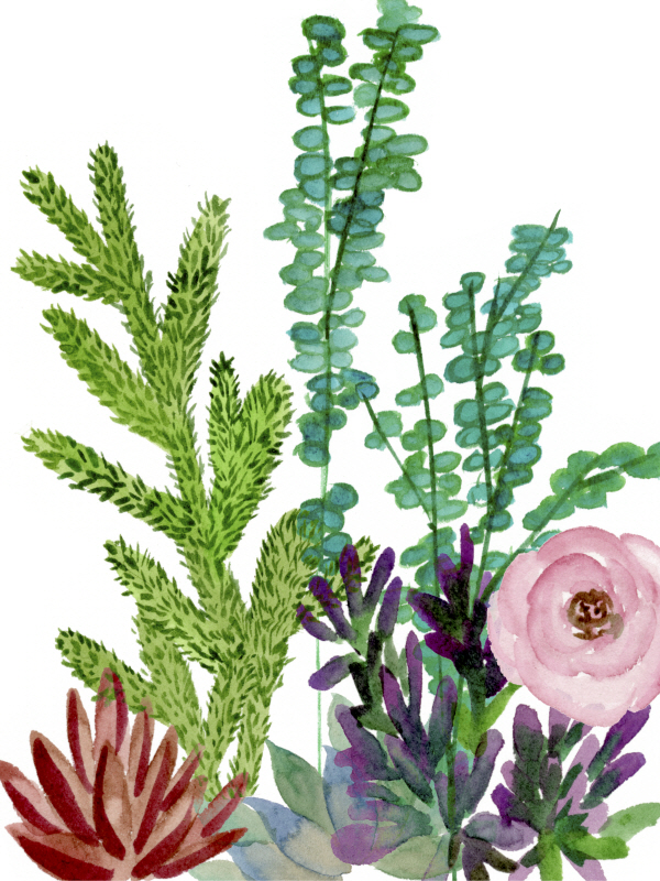 멜리사 왕 - Little Garden II