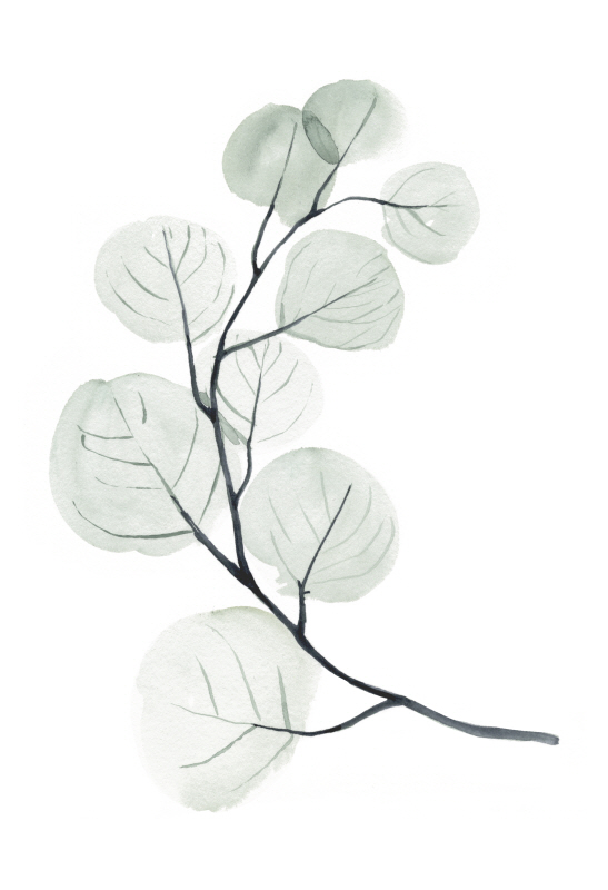 제니퍼 팩스톤 파커 - Silver Dollars I