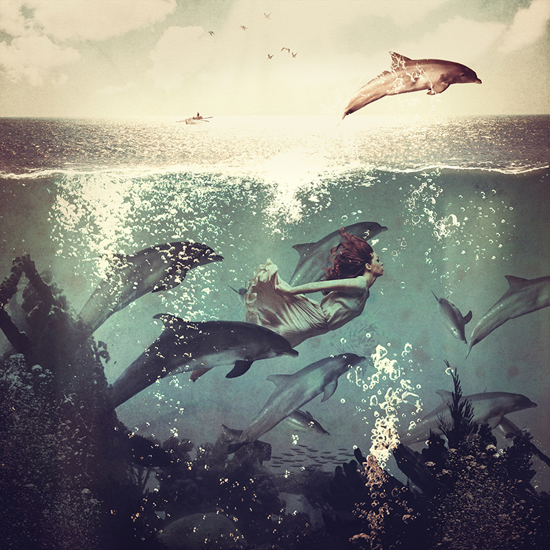 파울라 벨 플로어 - My Favorite Morning Race