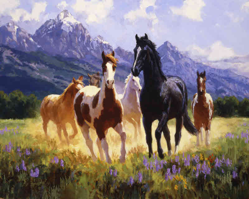 클레어 골드릭 - Summer Days