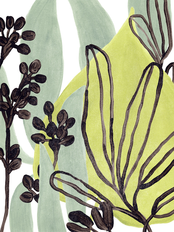 준 에리카 베스 - Tropical Collage Ⅰ