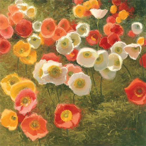 셜리 노박 - Faces of Persistence