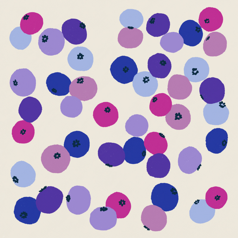 최지윤 - Blueberries