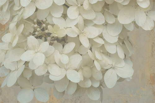 벤 리차드 - Nuances I