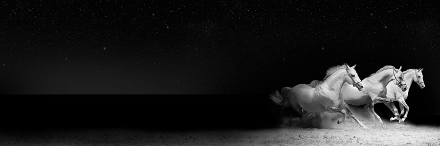 로사 메사 - Into the Light