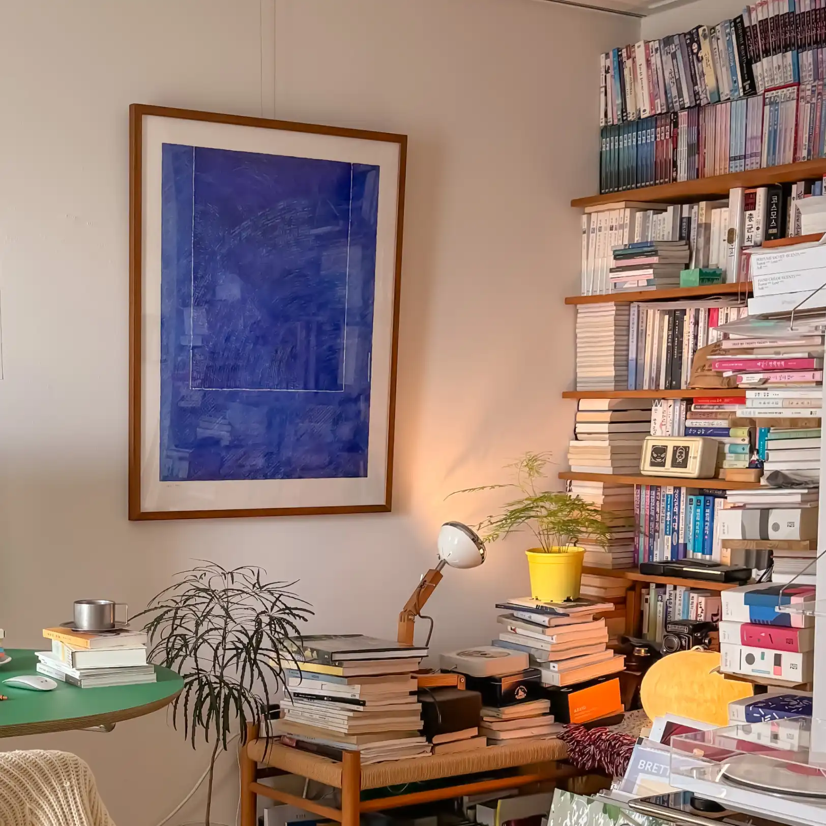 취향으로 채운세계