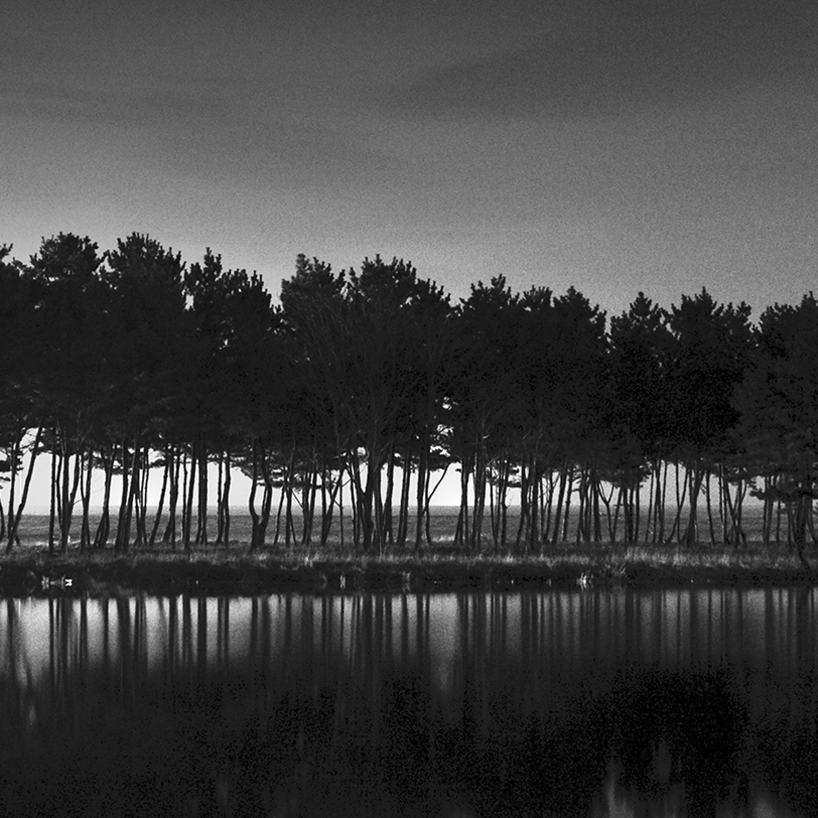 그림닷컴 기획전