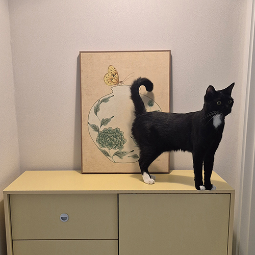 처음에는 단순한 장식용으로 생각했는…