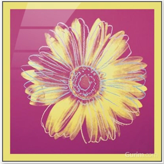 Daisy, C.1982 (Fuchsia & Yellow)