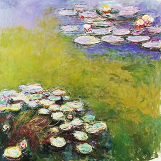 Waterlilies