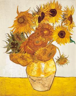 Sunflowers (해바라기)