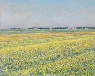 The Plain of Gennevilliers, Yellow Fields