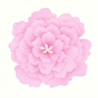 WHHA 모란 분홍 45