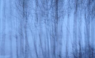 블루 II (부부의세계 협찬그림)