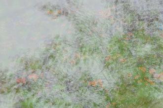 꽃들은 다 아름답다 II